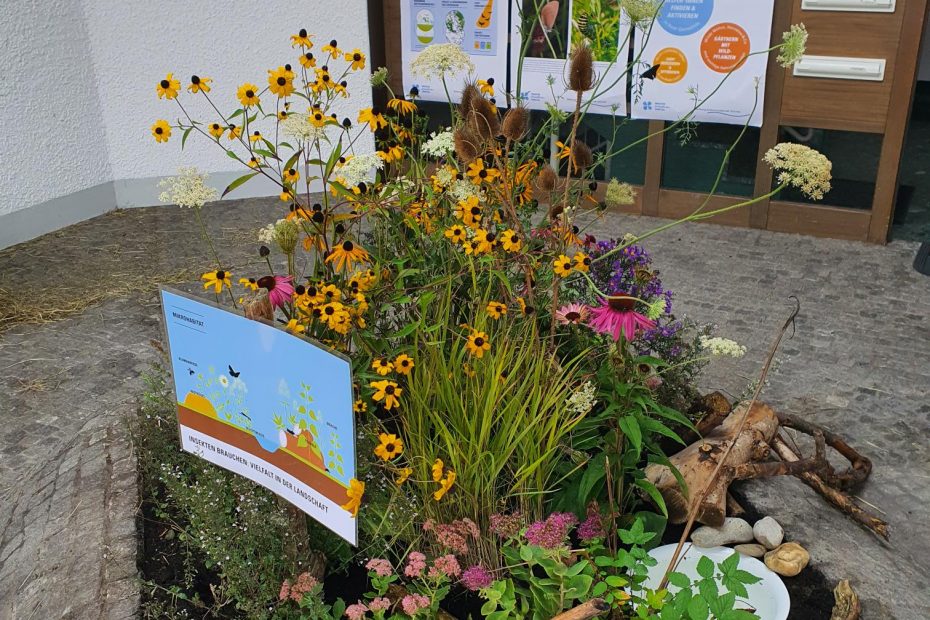 Regionalmarkt Ottobeuren